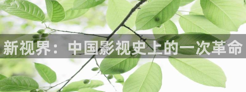 青柠网