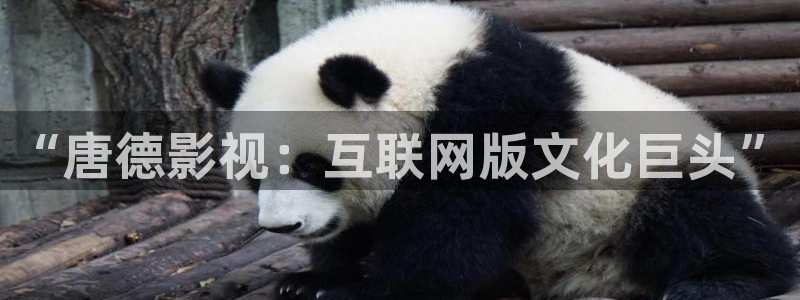 青柠影院在线观看电视剧高清