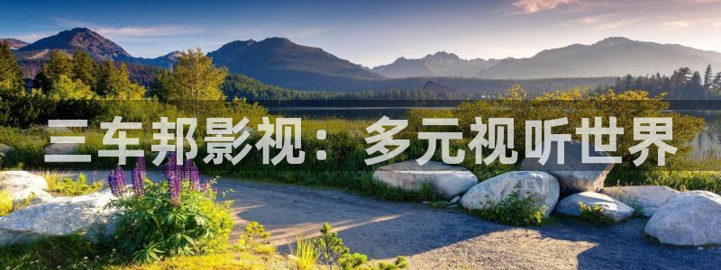 青柠电影在线看