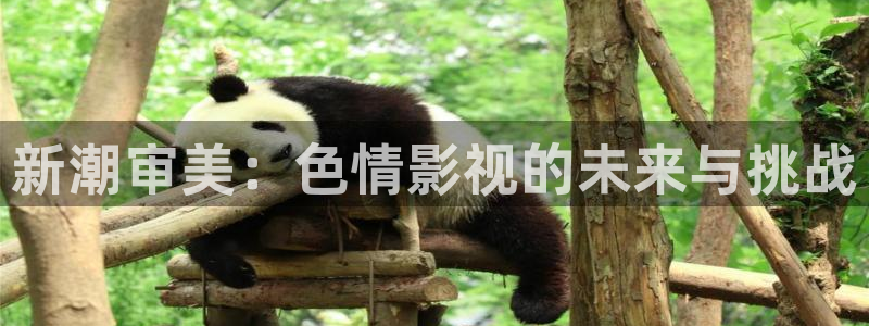 青柠影院免费观看在线视频