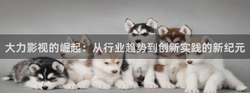 青柠影视网在线观看