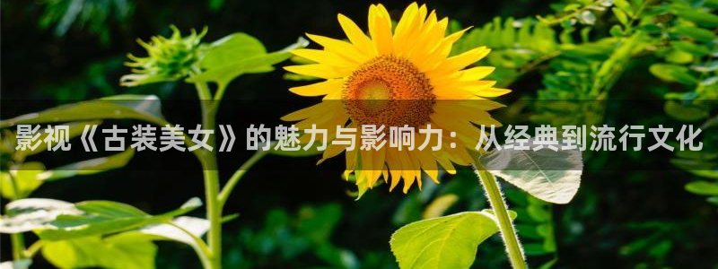 青柠影视电视剧大全：影视《古装美女》的魅力与影响力：从经典到流行文化